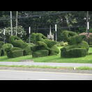 Vor dem Regent Beach